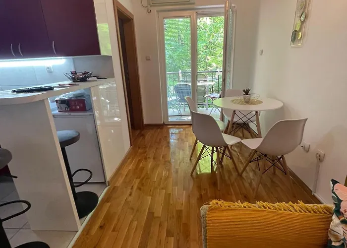 Anika * 소코 반자